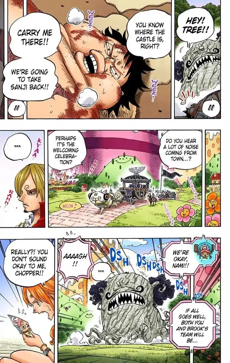 One Piece - Digital Colored Comics Chapter 843 10